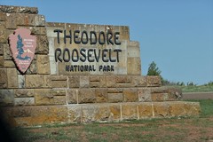 Theodore Roosevelt National Park June 2021