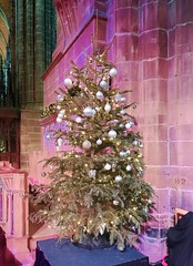 Chester Cethedral Christmas Tree Festival 2021