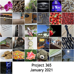 2021 Project 365 Mosaics