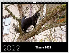The Timmy Calendar 2022