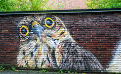 Gent Graffiti walk II