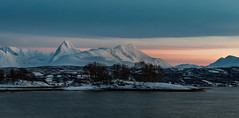 Balsfjord