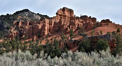 Red Canyon, Dixie National Forest, Utah