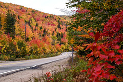 Cabot Trail, Oct 17, 2021