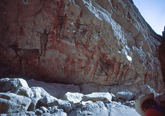 Cave Paintings of the Sierra de San Francisco BCS