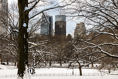 Central Park Snow 1-7-22