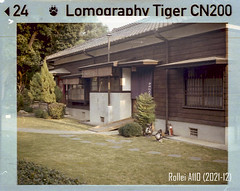 Lomography Tiger CN200 (110 film)