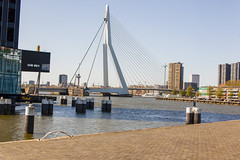 Rotterdam 2020 (Digital)