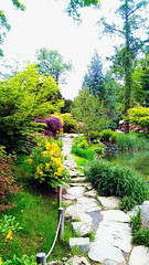 Japanese Garden in Wrocław. Part 4.