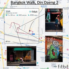 Fitbit Walks 2021