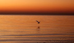 Mersea Sunrise
