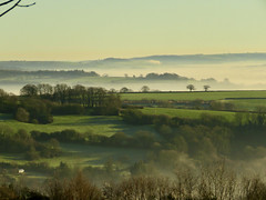 Another Mist Photo
