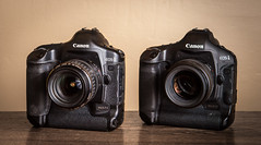 Canon EOS-1D Mark II N (2005) / Canon EOS-1D Mark IV (2009)