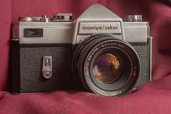 Various Film Cameras