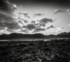 Black and White landscapes