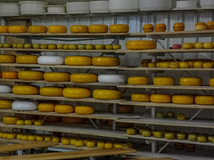 Cheese Factory 