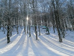 Winter - Inverno