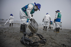230122 MML realiza limpieza de playa Miramar en Ancón por derrame de petróleo