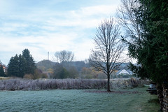 Schalkenmeren, frost in the morning.