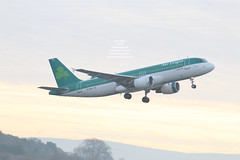 Aer Lingus - EI-DVG