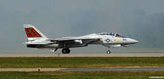 Type - Grumman F-14