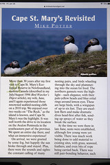 Michael W Potter Published Bird Photographs