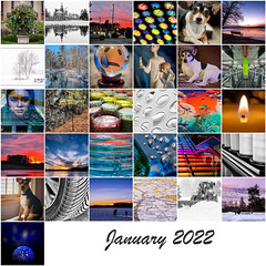 365:2022 Monthly Mosaics