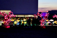 Winter Lanterns at the Kennedy Center