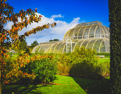 Kew Gardens キュー王立植物園