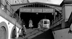 Historic Sydney Trams