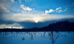 A winter Sunday in Mårdsjön