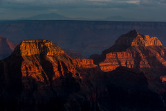 Kaibab National Forest and the Grand Canyon