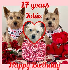 Tokie's 17th Birthday