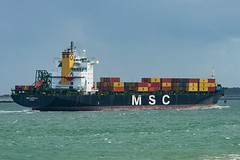 Other MSC Container Ships