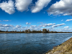 at the Rhine and nearby in Plittersdorf (Feb 2022)