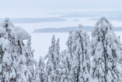Zwischenspiel in Karelia 2014