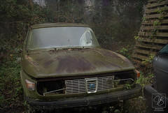 Forgotten car's