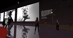 "My Gallery Visits in Second Life"