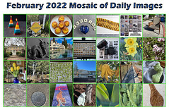 2022 Mosaics