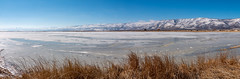 Summer Lake 2022 The Big Freeze.