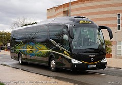 Bus GNV