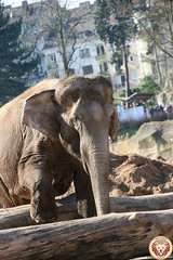 Besuch Nr. 904. am 05-03-2022 in Köln (Zoo)