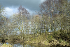 Montgomery Canal Rednal March 2022