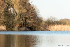 Kolshorner Teich - Impressionen