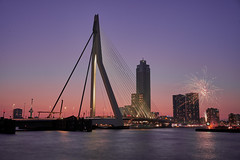 Rotterdam 2022