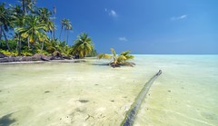 Kudafares & Faés Island, Haddhunmathi (Laamu) Atoll, Maldives 2022