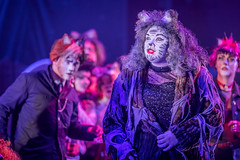 Cats by Tip Top Productions (16-19/03/22)