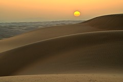 OMAN : dans le désert de WAHIBA