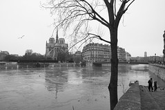 La Seine en crue. Paris. 2018