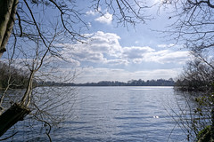 The Mere  at Ellsmere March 2022